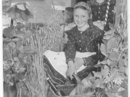 sangerfest 1954  20